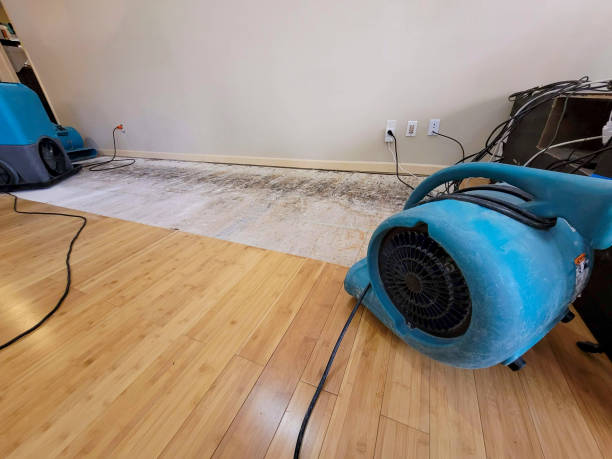 Professional Water Damage Repair technician working in Edgerton, OH